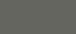 Gothic Grey 
 NTS 010